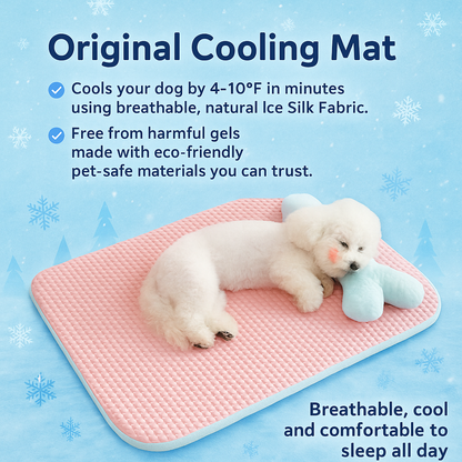 Cooling Pet Bed – Summer Comfort for Dogs & Cats